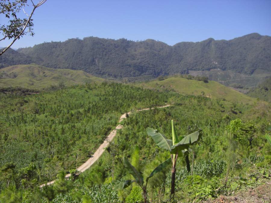 c011