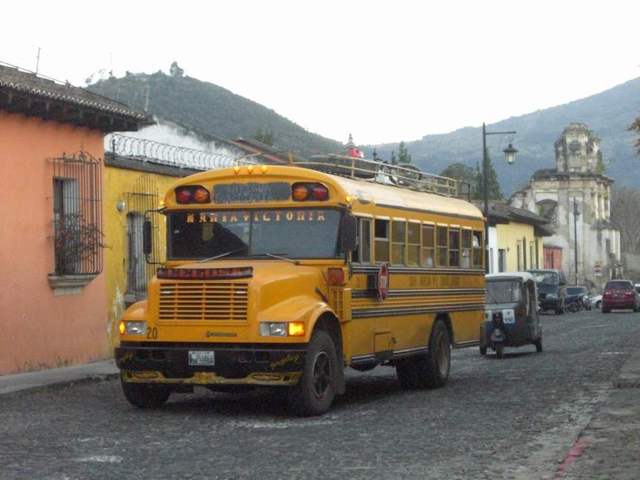 g021