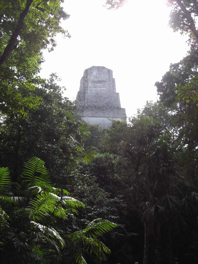f006