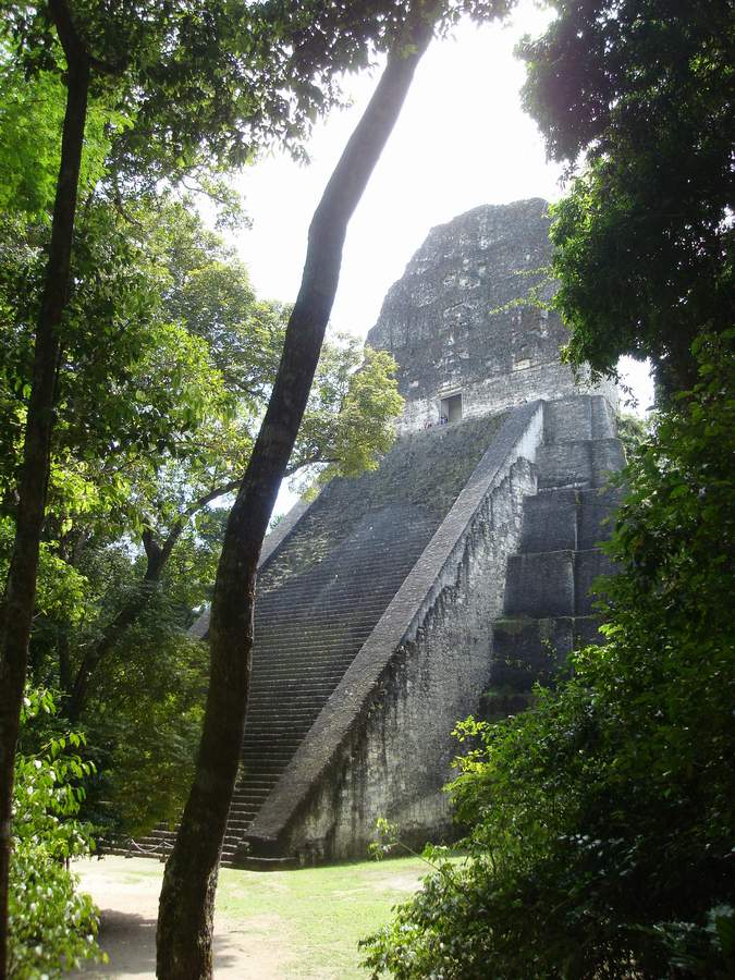 f018